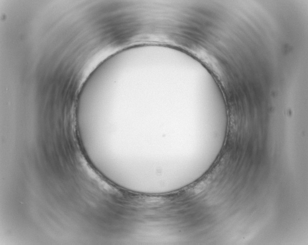 X0000088581382200706221305