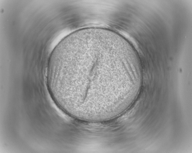 X0000088581383200706221305