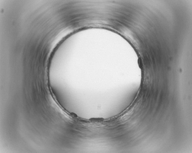 X0000088581384200706221305