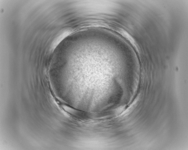 X0000088581385200706221305