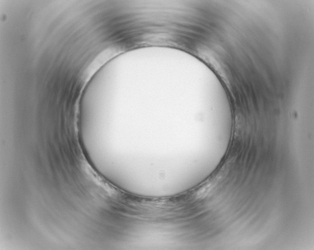 X0000088581386200706221305