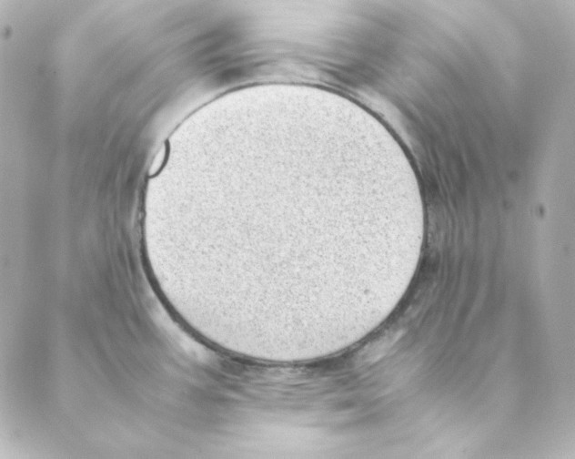 X0000088581387200706221305