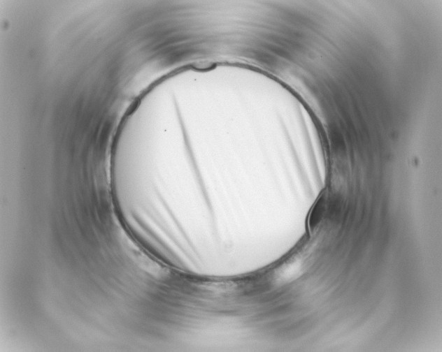 X0000088581388200706221305