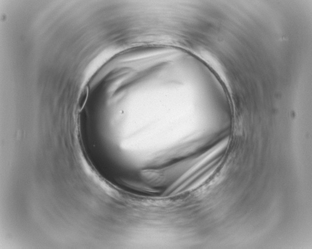 X0000088581389200706221305