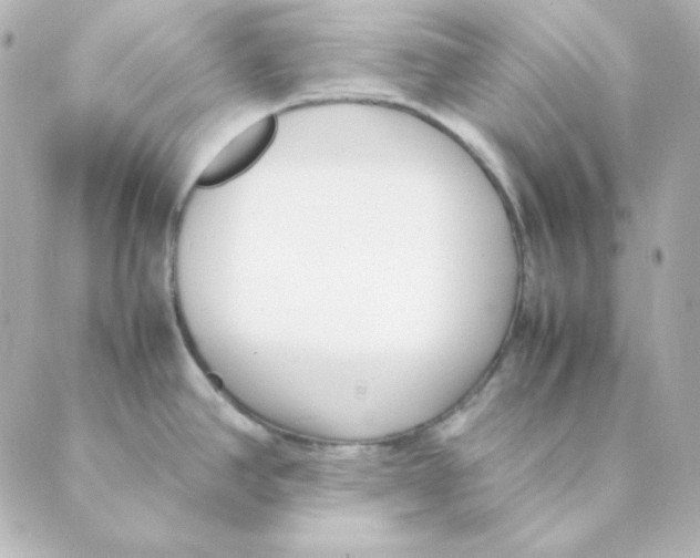 X0000088581390200706221305