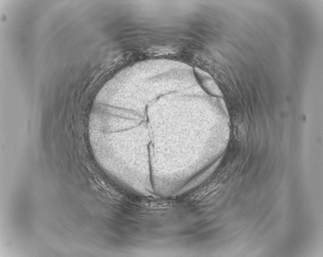 X0000088581393200706221304