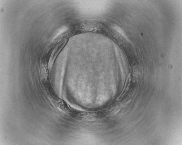 X0000088581394200706221304