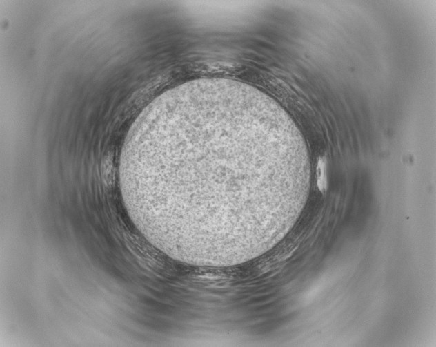 X0000088581395200706221304