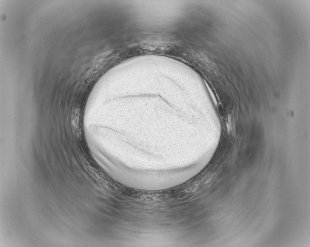 X0000088581396200706221304