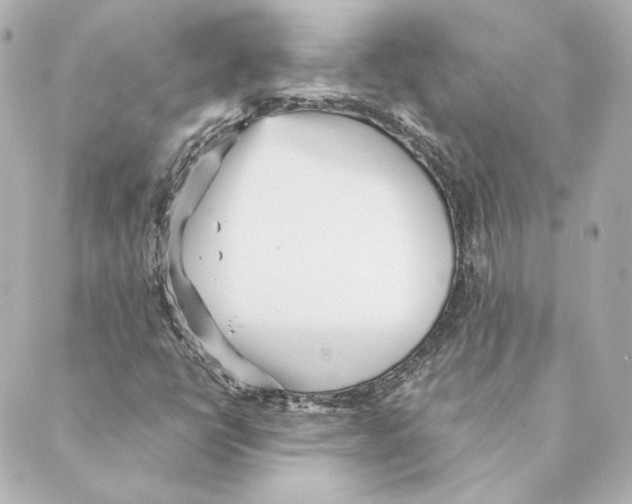 X0000088581398200706221304