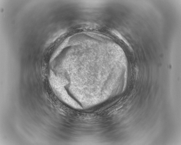 X0000088581399200706221304