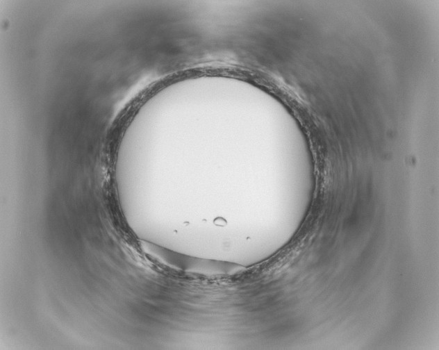 X0000088581400200706221304