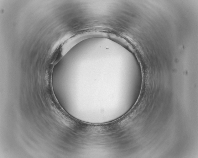 X0000088581402200706221304