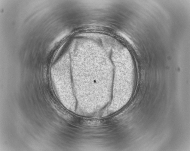 X0000088581403200706221304