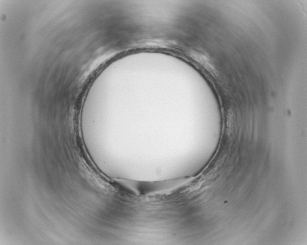 X0000088581404200706221305