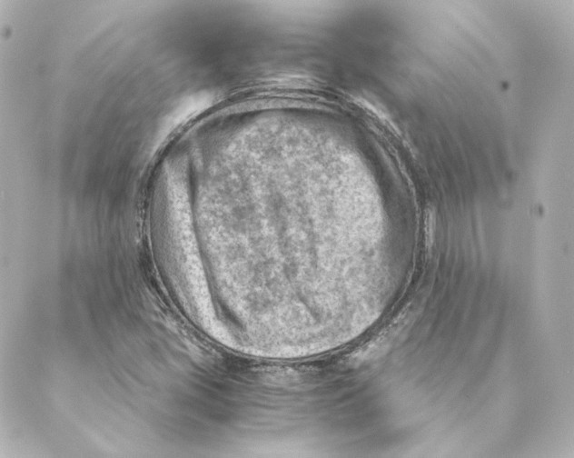 X0000088581405200706221305