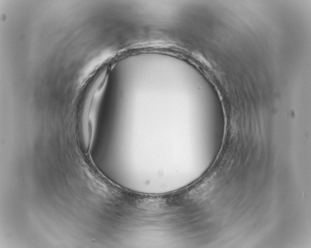 X0000088581406200706221305