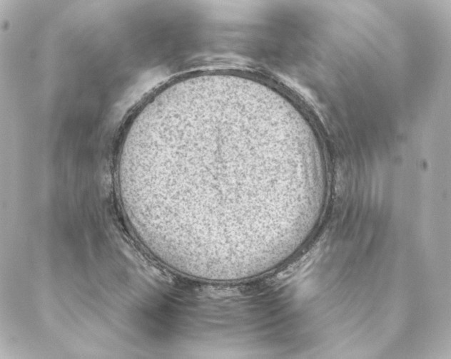 X0000088581407200706221305