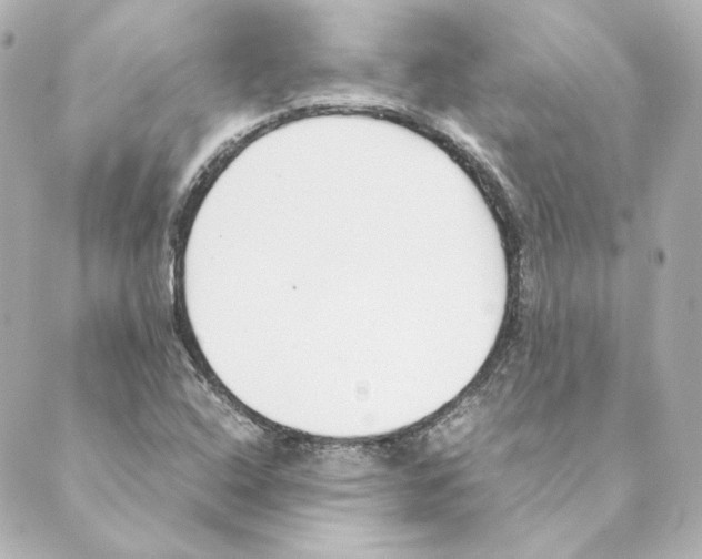 X0000088581408200706221305