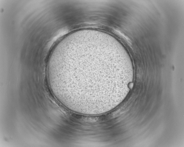 X0000088581411200706221305