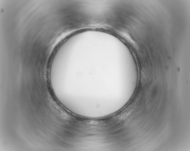 X0000088581412200706221305