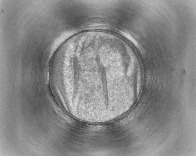 X0000088581413200706221305