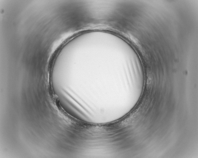 X0000088581414200706221305