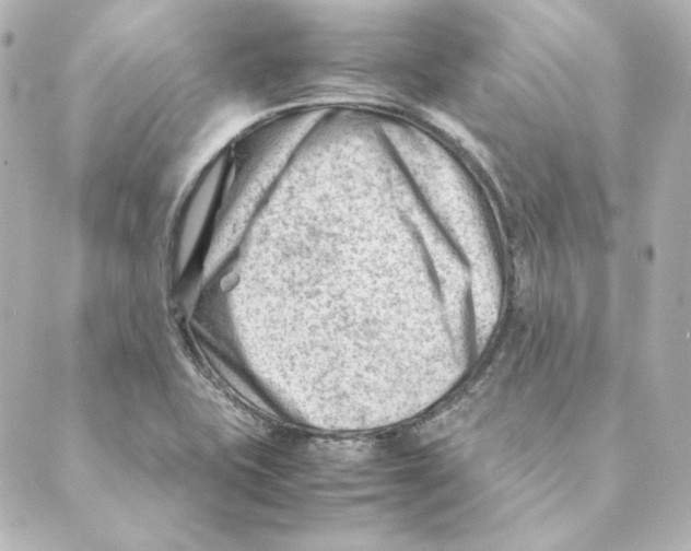 X0000088581415200706221305