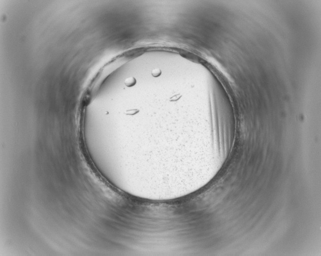 X0000088581416200706221305