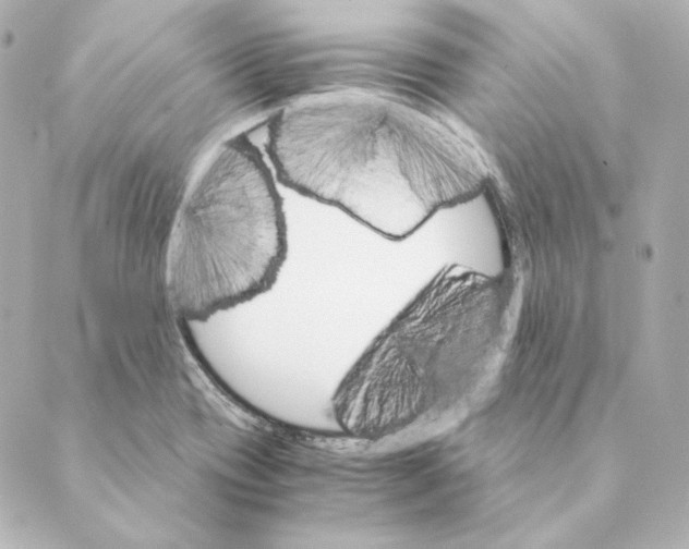 X0000088581417200706221305