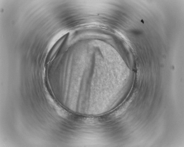 X0000088581418200706221305