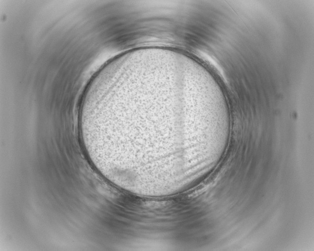 X0000088581419200706221305