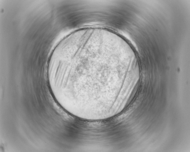 X0000088581421200706221305