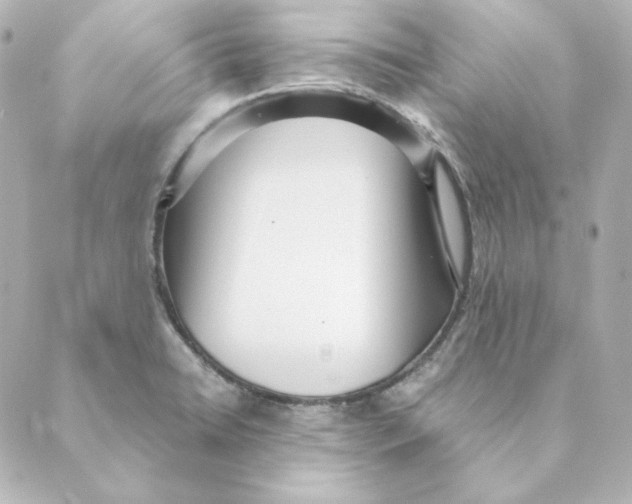 X0000088581422200706221305