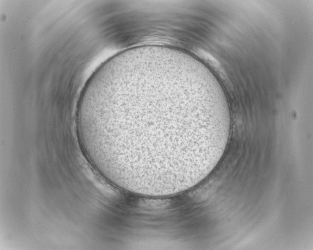 X0000088581427200706221305