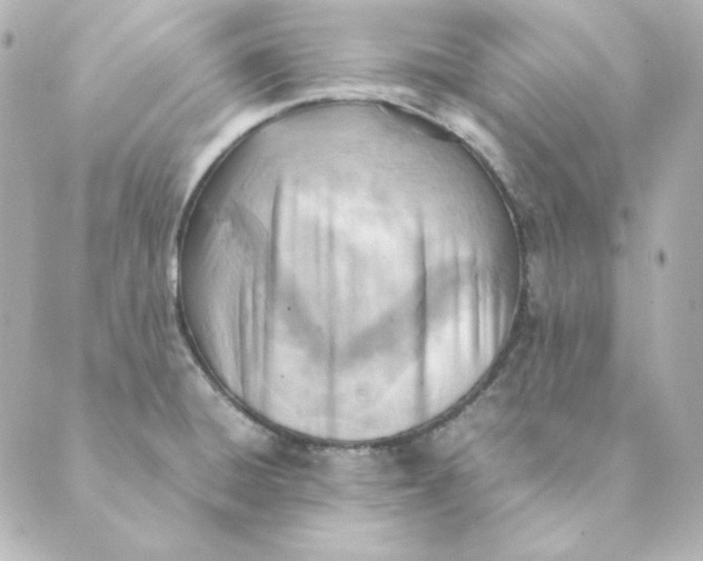 X0000088581428200706221305