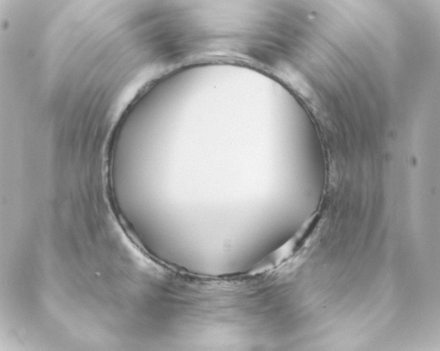 X0000088581430200706221305