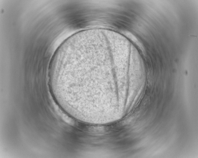 X0000088581431200706221305