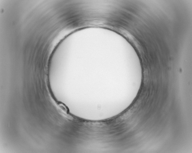 X0000088581432200706221305