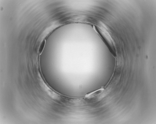 X0000088581434200706221305