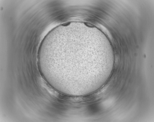 X0000088581435200706221305