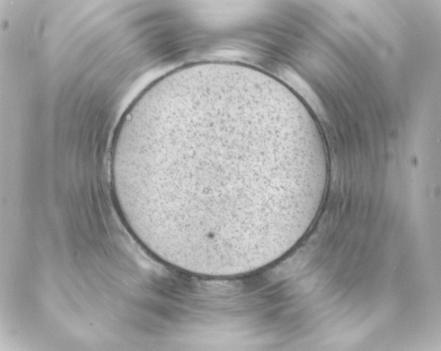 X0000088581436200706221305