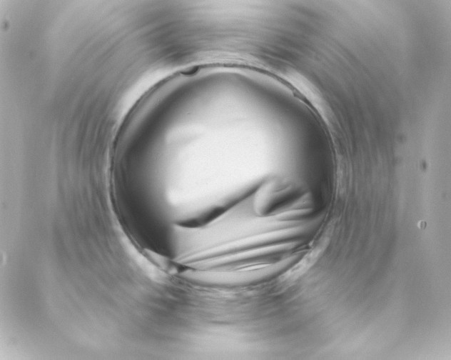 X0000088581438200706221305