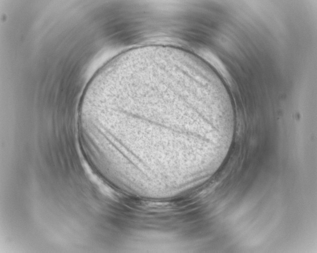 X0000088581439200706221305