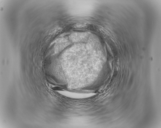 X0000088581441200706221304