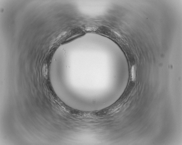 X0000088581443200706221304