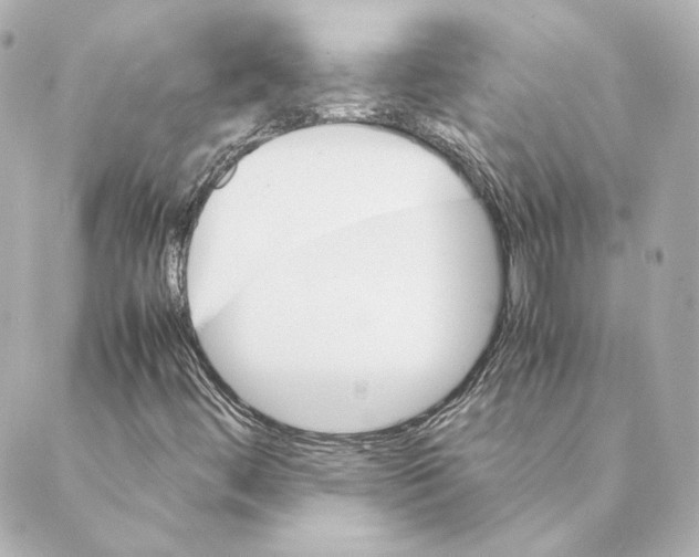 X0000088581444200706221304