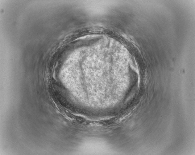 X0000088581445200706221304