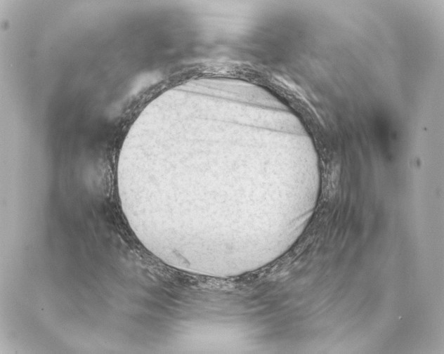 X0000088581446200706221304