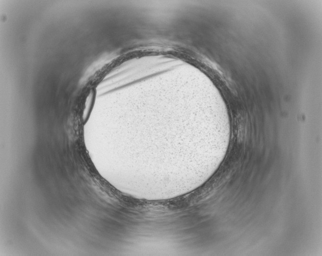 X0000088581448200706221304